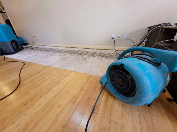 Professional Water Removal technician working in Everett, PA
